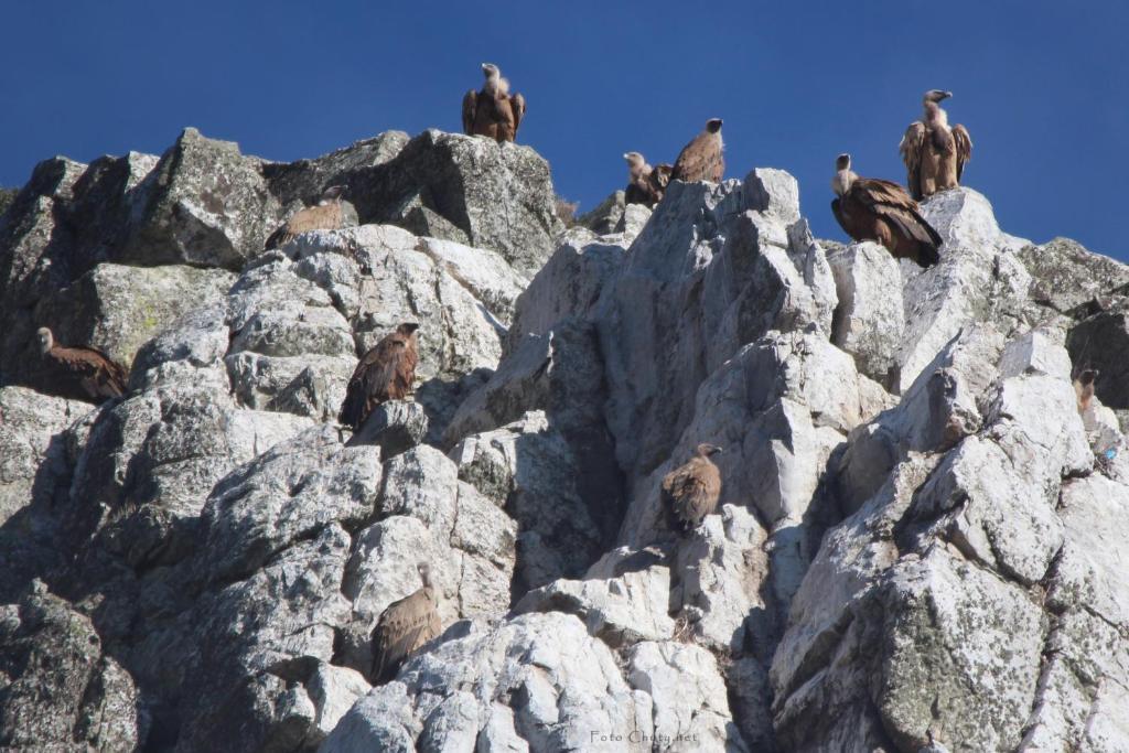 Sierra De Monfrague Διαμέρισμα Torrejón el Rubio Εξωτερικό φωτογραφία